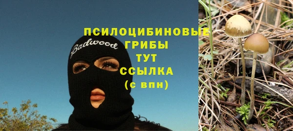 амф Кукмор
