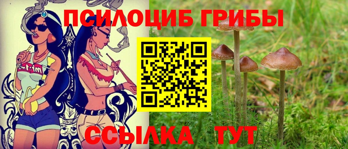 Псилоцибиновые грибы Psilocybe  Галлюциногенные грибы Psilocybe  Белебей 