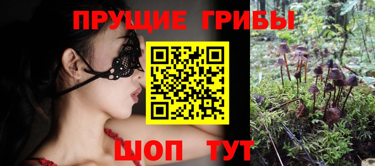 Псилоцибиновые грибы мицелий Белебей